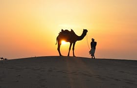 VIP Dubai Desert Safari | Sunrise Safari | Desert Safari Dubai | Dubai City Tour | Abu Dhabi City tour | Dubai Desert Safari | Dune Buggy Dubai