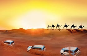 Allow Emirates Trips to take care of your Vacations in a way that your Vacations become memorable, in Desert Safari & City Tours. (+971) 567670196