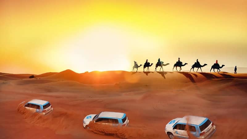 Allow Emirates Trips to take care of your Vacations in a way that your Vacations become memorable, in Desert Safari & City Tours. (+971) 567670196